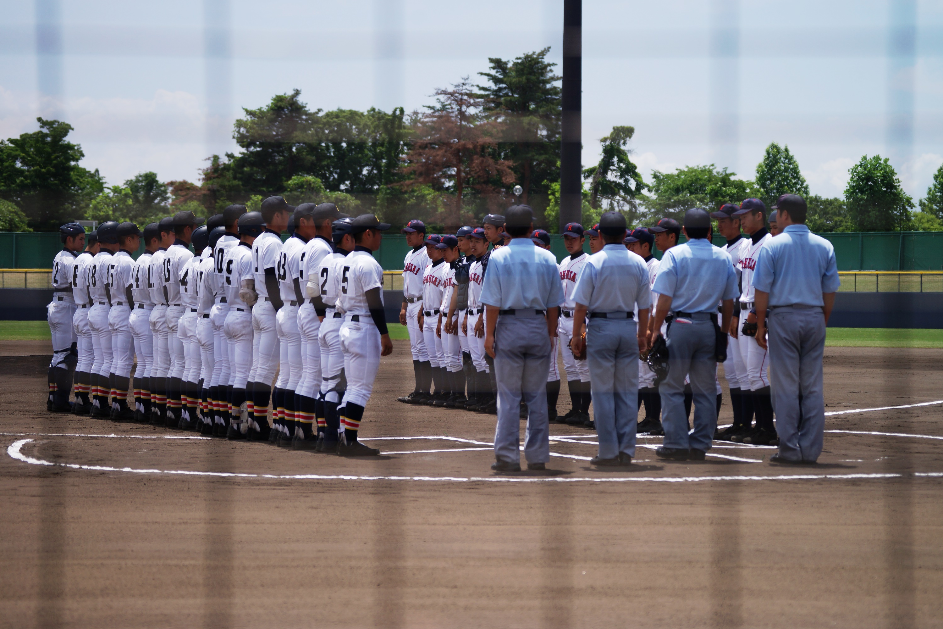 新潟野球ドットコム