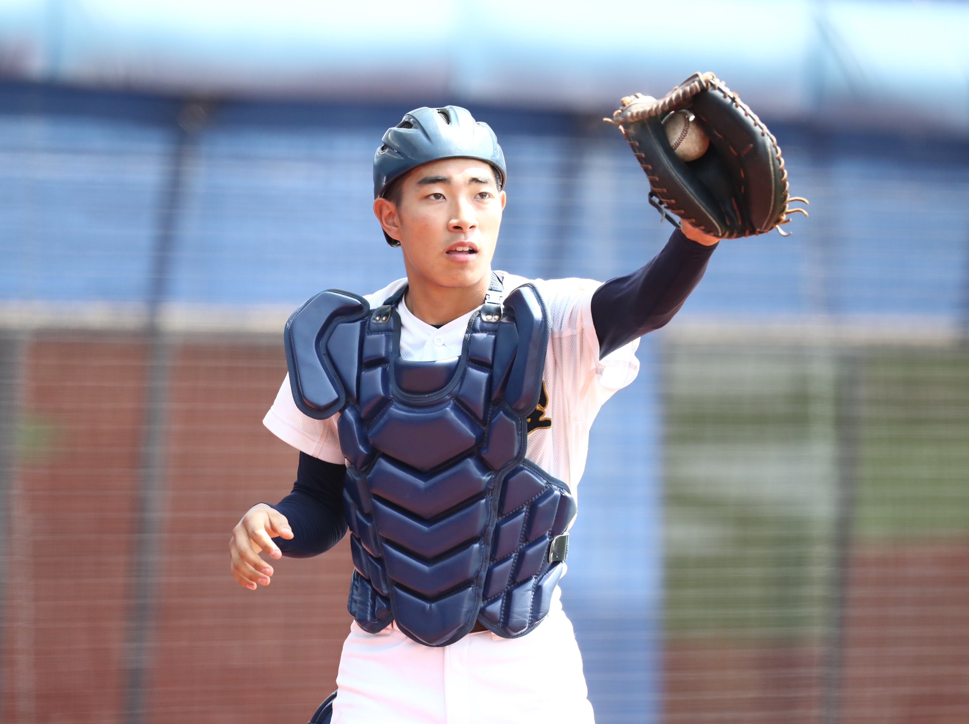 高校野球 日本文理 甲子園ベンチ入りメンバー紹介 前編 新潟野球ドットコム