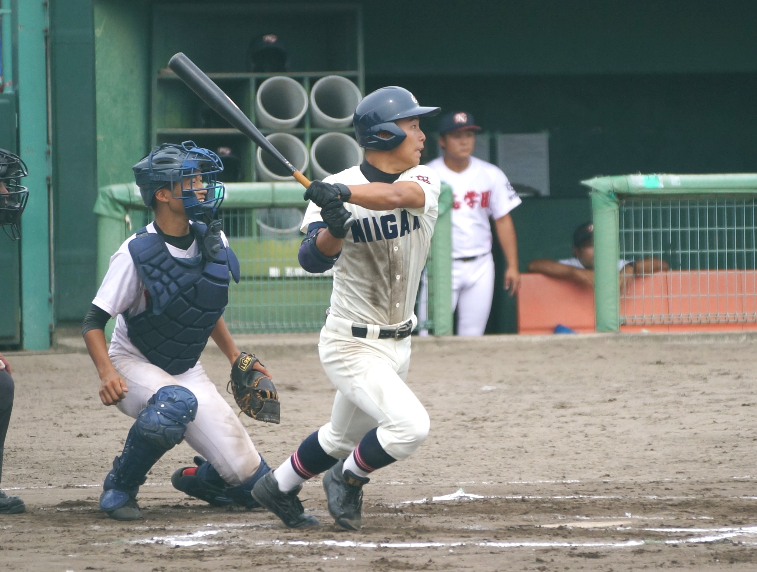 新潟 県 の 高校 野球 したらば